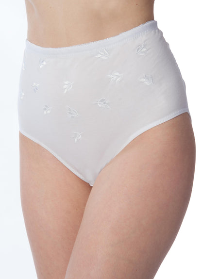 Plus Size Women’s Soft Embroidered Full Briefs 3-Pack