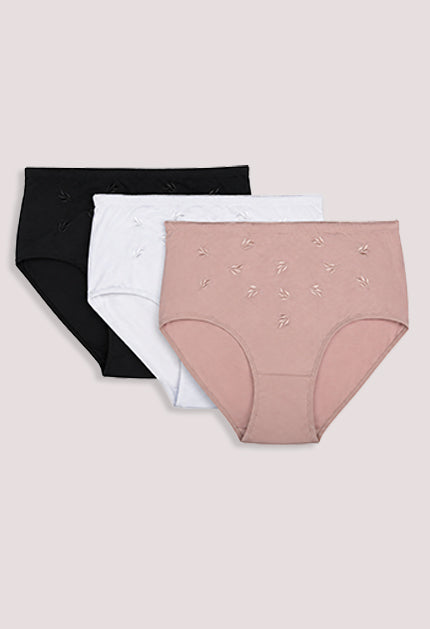 Plus Size Women’s Soft Embroidered Full Briefs 3-Pack