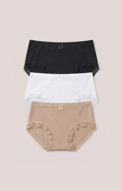 Plus Size Microfiber Full Brief Panties for Women (3-Pack)