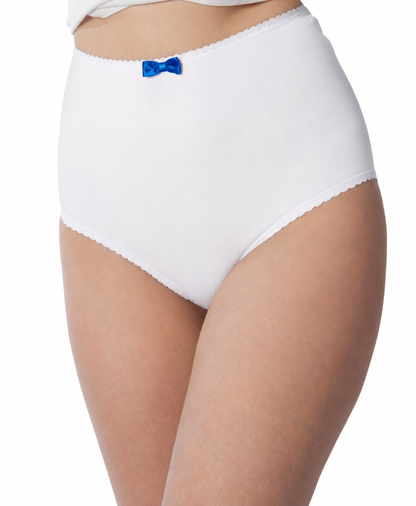 Women’s Plus Size Microfiber Full Coverage High-Waisted Briefs 4-Pack (Copy)