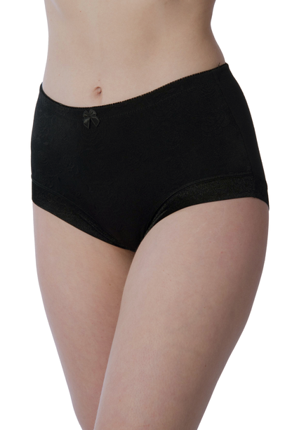 Plus Size Microfiber Full Brief Panties for Women (3-Pack)