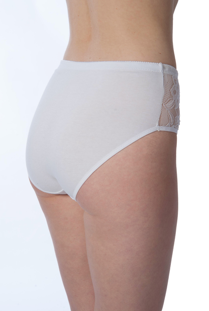 Plus Size Full Coverage Lace Briefs for Women (3-Pack)