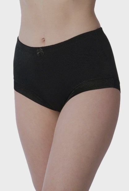 Plus Size Microfiber Full Brief Panties for Women (3-Pack)